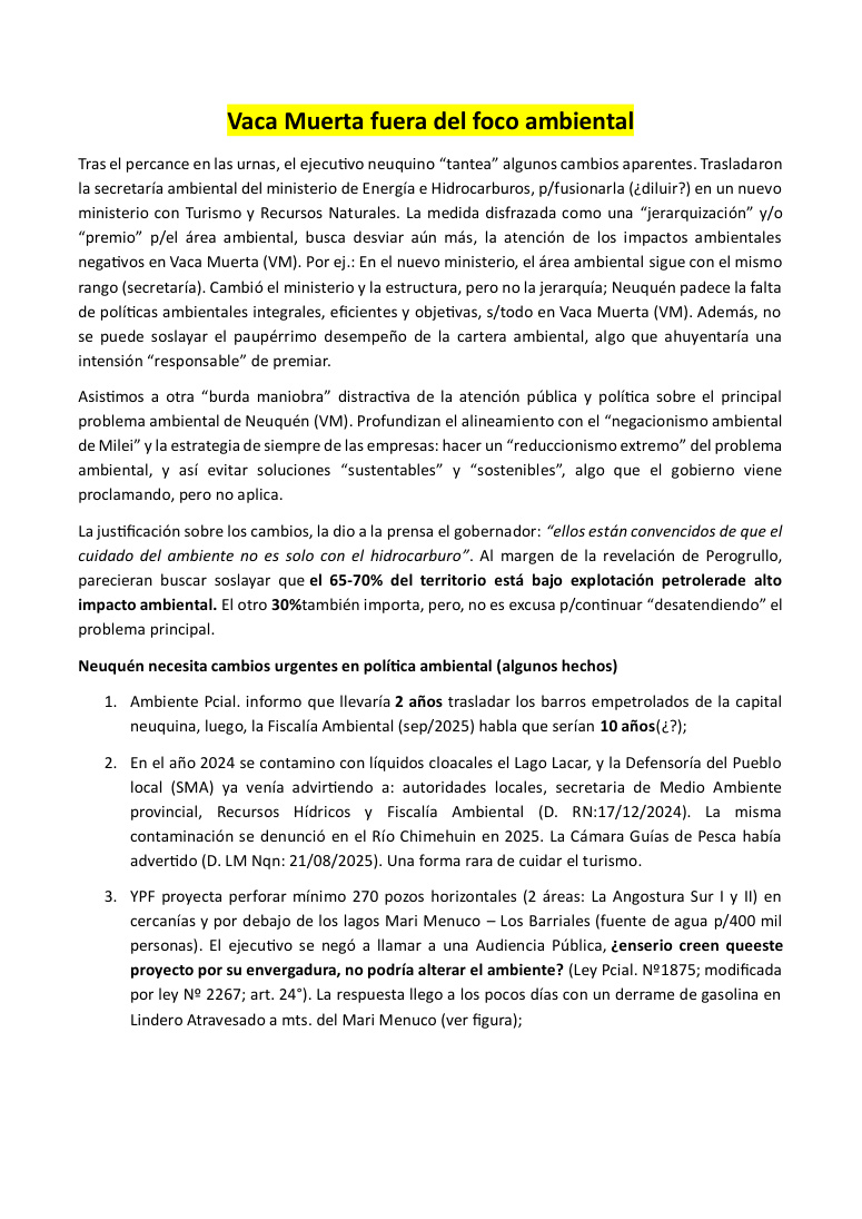 Vaca Muerta fuera del foco ambiental